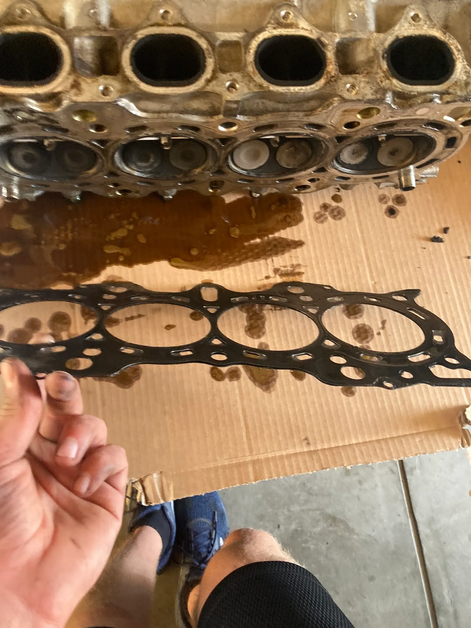 Cylinder head and used head gasket laid out on cardboard